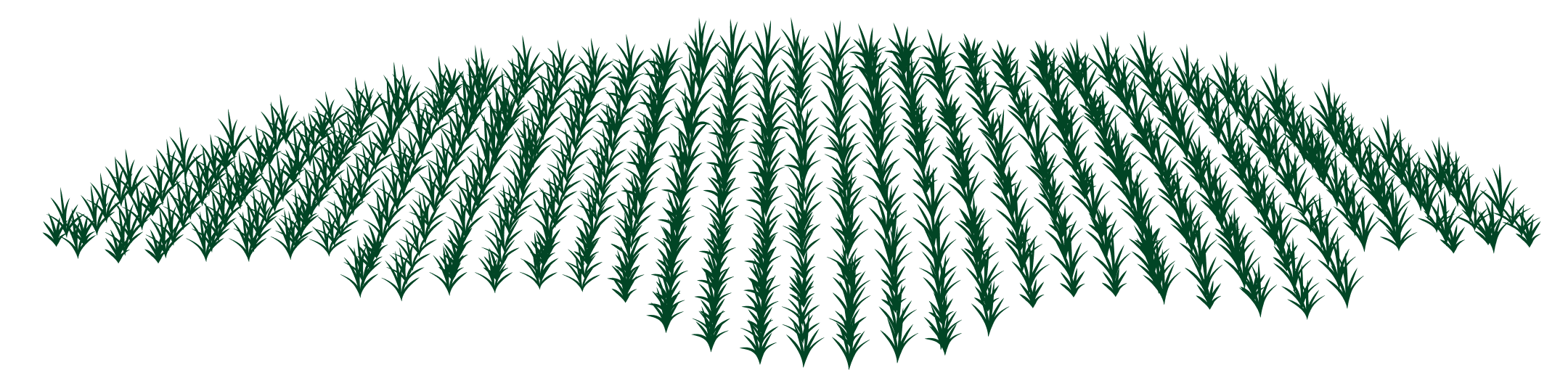 MINH PHONG GREEN AGRICULTURAL PRODUCTS J.S.C.